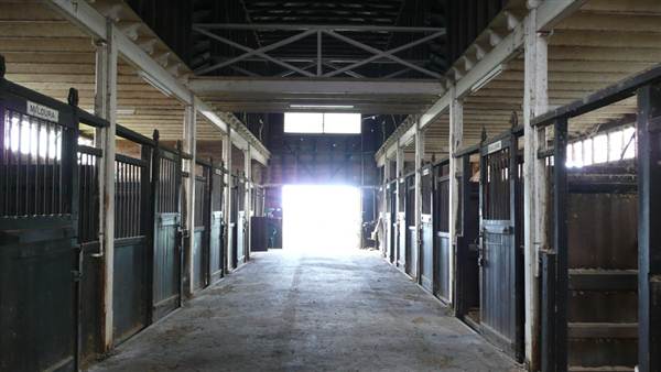 Lomar Park Stud (7/03/2013 10:01:45 AM)
