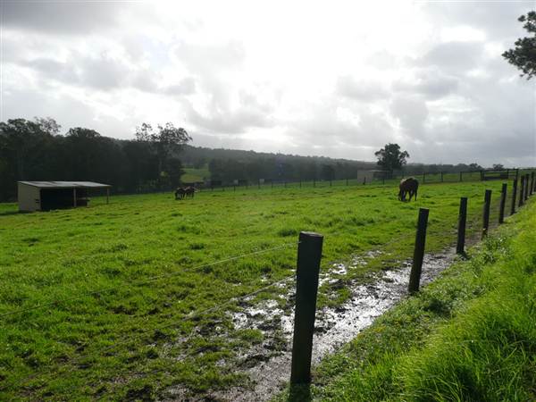 Lomar Park Stud (7/03/2013 10:03:33 AM)