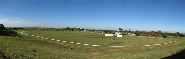 Malniri Park Stud (7/03/2013 12:09:45 PM)