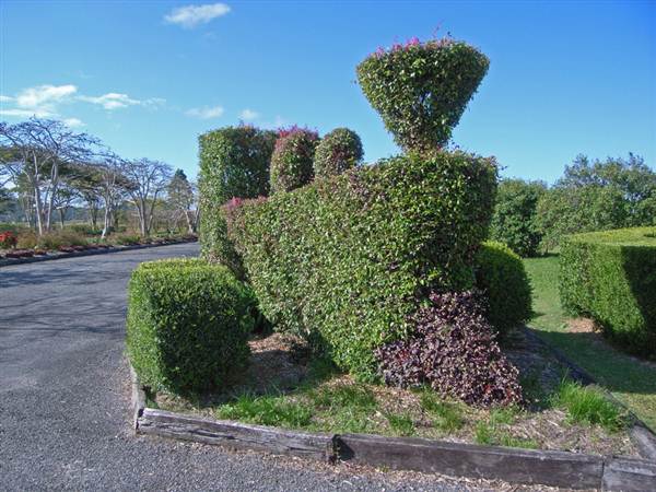 Tea Tree Estate (7/03/2013 12:11:30 PM)