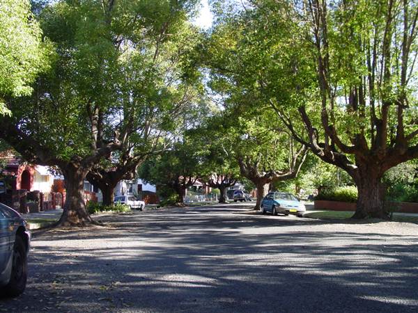 Marrickville Neighbourhood (7/03/2013 12:32:54 PM)