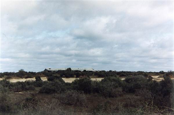 Mungo Lodge (7/03/2013 1:54:41 PM)