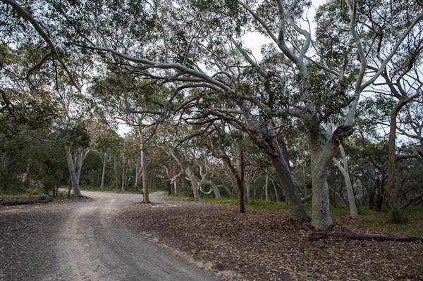 Murramarang National Park (7/03/2013 2:20:49 PM)