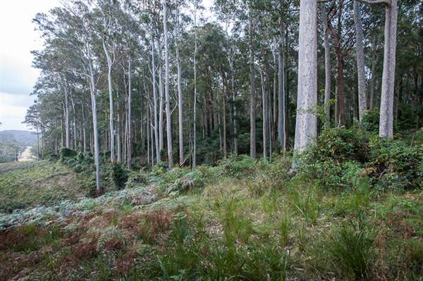 Murramarang National Park (7/03/2013 2:21:52 PM)