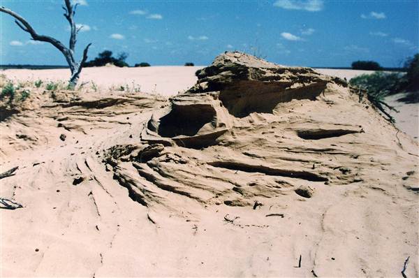 Milkengay Lake Sand Dunes (7/03/2013 11:03:48 PM)