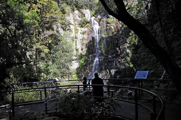 Minnamurra Falls (7/03/2013 11:44:03 PM)