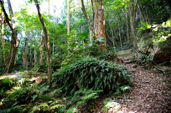 Mount Keira Scout Camp File 1 (8/03/2013 10:04:59 AM)