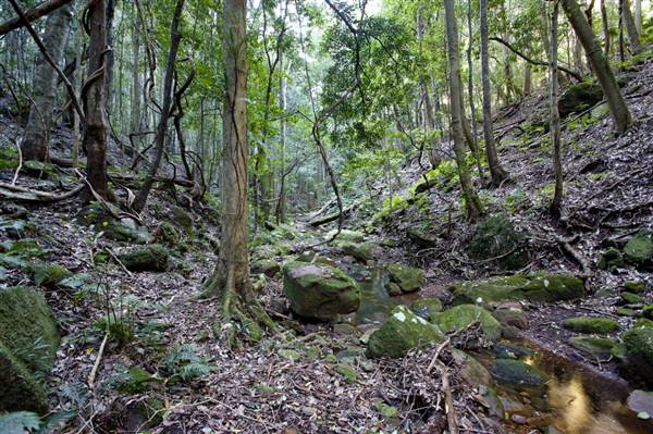 Royal National Park (8/03/2013 1:45:26 PM)
