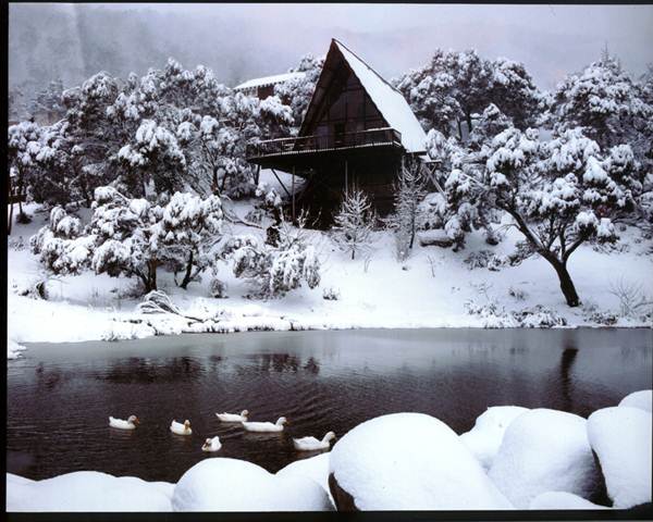 Thredbo in Winter (9/03/2013 12:37:56 AM - Credits: Matt Carroll)