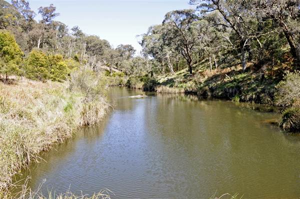 Tia Falls (9/03/2013 1:14:47 AM)