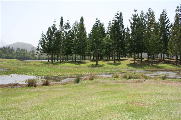 Clarrie Hall Dam (9/03/2013 1:51:12 AM)