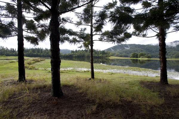 Tweed Valley 1 of 2 (9/03/2013 1:55:01 AM)