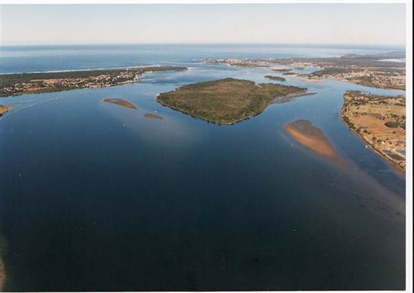 Yamba Island (9/03/2013 2:51:32 AM)