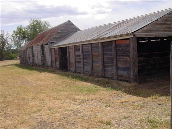 The Springs Homestead - Dubbo (9/03/2013 11:05:30 AM)