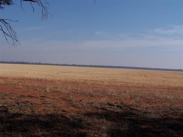Weethalle (9/03/2013 11:09:53 AM)