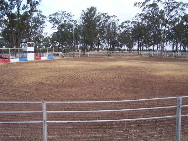 West Wyalong Rodeo Grounds (9/03/2013 11:15:25 AM)