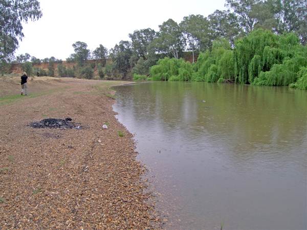 Whylandra Crossing, Dubbo (9/03/2013 11:18:26 AM)