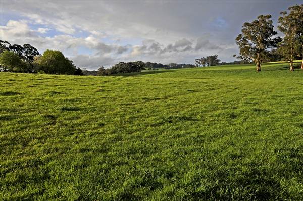 Robertson - Southern Highlands (9/03/2013 8:12:39 PM)