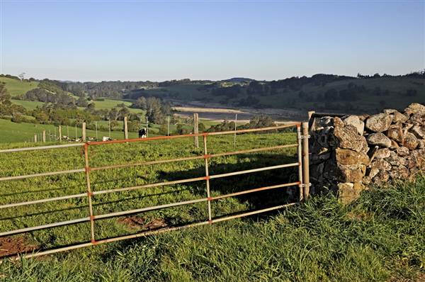 Robertson - Southern Highlands (9/03/2013 8:14:15 PM)