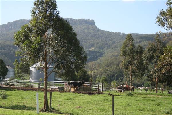 Tullimbar Village (9/03/2013 10:15:52 PM)