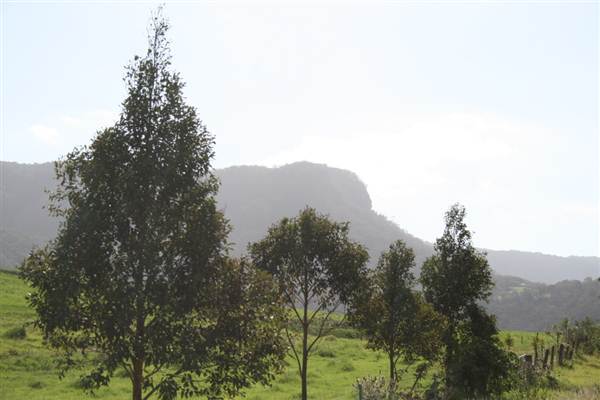 Tullimbar Village (9/03/2013 10:16:06 PM)