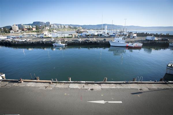 Wollongong Harbour (10/03/2013 12:54:44 PM)