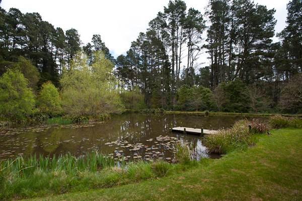 Parklands Country Garden & Lodges (10/03/2013 2:38:40 PM)