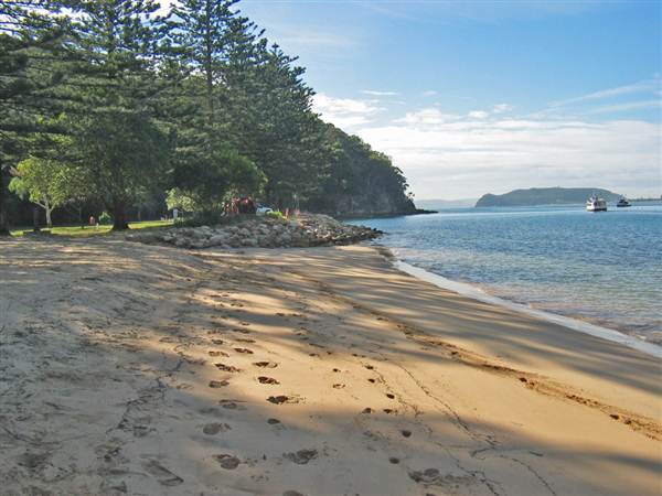 Currawong Beach Cottages & Basin Campground -  Ku-ring-gai Chase National Park (10/03/2013 9:47:23 PM)