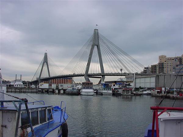Sydney Fish Market (11/03/2013 5:16:13 AM)