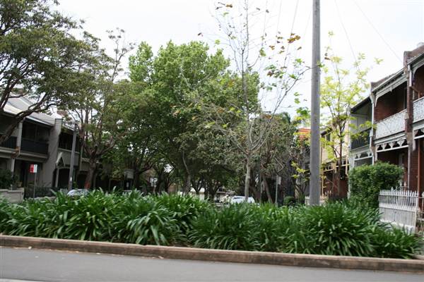 Bourke Street (11/03/2013 12:51:25 PM)