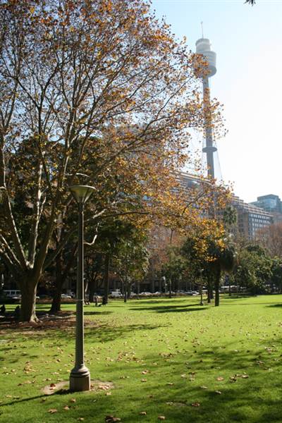 Hyde Park and Archibald Fountain - Sydney CBD (11/03/2013 1:09:04 PM)