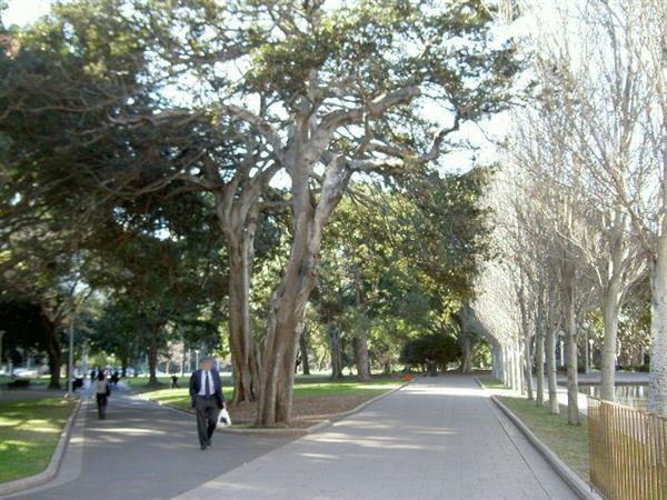 Hyde Park and Archibald Fountain - Sydney CBD (11/03/2013 1:13:15 PM)