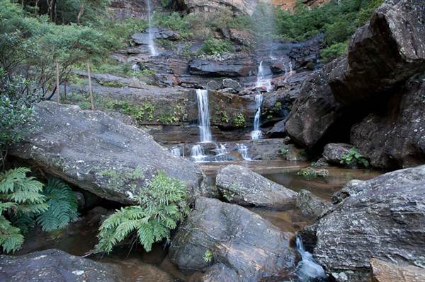 Wentworth Falls (11/03/2013 2:40:21 PM)