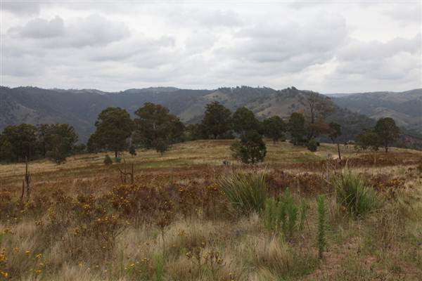 Wollondilly River Station (11/03/2013 2:58:14 PM)