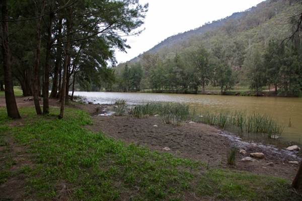 Wollondilly River Station (11/03/2013 2:58:52 PM)