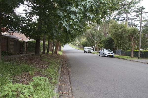 Lindfield (13/03/2013)
