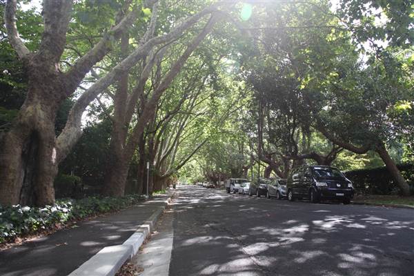 Water St - Pymble (13/03/2013)