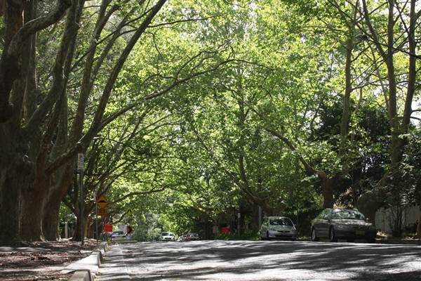 Water St - Pymble (13/03/2013)