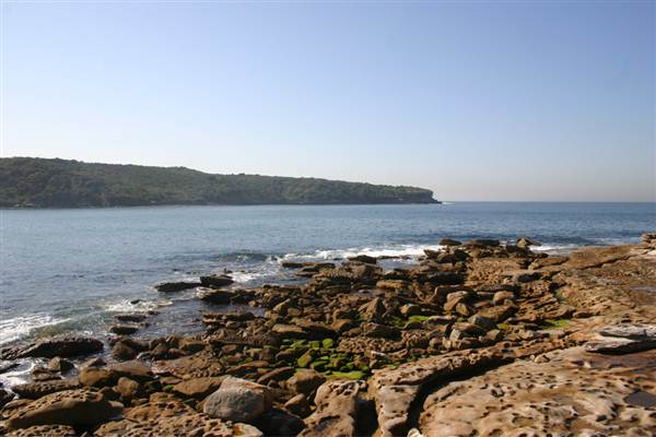 Bare Island (24/04/2013)