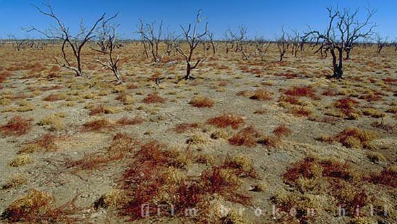 Broken Hill (24/04/2013)