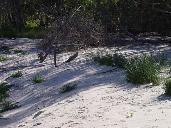 Broken Hill (24/04/2013)
