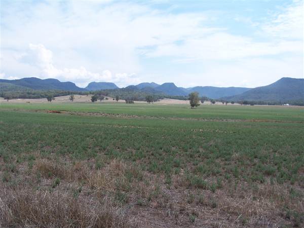 Baradine to Coonabarabran road (26/04/2013)