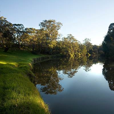 Parramatta Park Trust (11/06/2013)