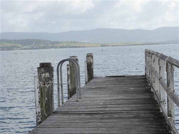 Lake Illawarra South-Skiway Park - Skiway Park & Moureendah Bay area (15/09/2011 - Credits: Tony Brown /SISE)
