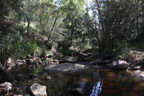 Georges River Nature Reserve (17/07/2013)