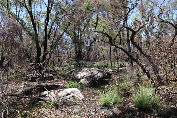 Ted Horwood Reserve (17/07/2013)