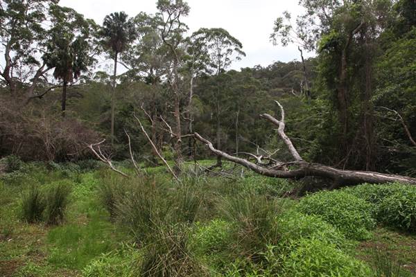Narrabeen (17/07/2013)
