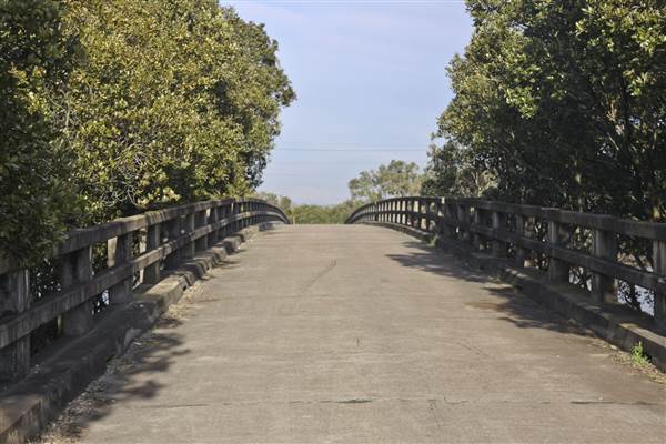 Ash Island Bridge (20/07/2013 - Credits: chris reynolds)