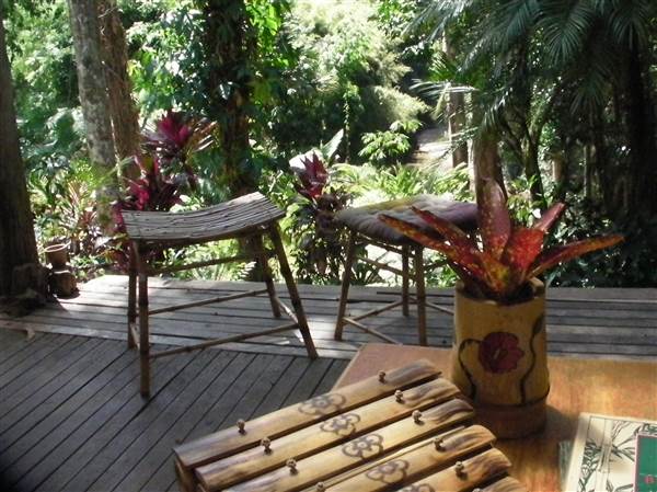 Private Properties - Bamboo, Jungle, Exotic, Forest (26/11/2013)