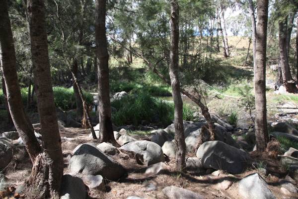 Coxs River - Glenroy Cabins and Camp Ground - Canon 5D (13/12/2012 - Credits: Luke Torrevillas)